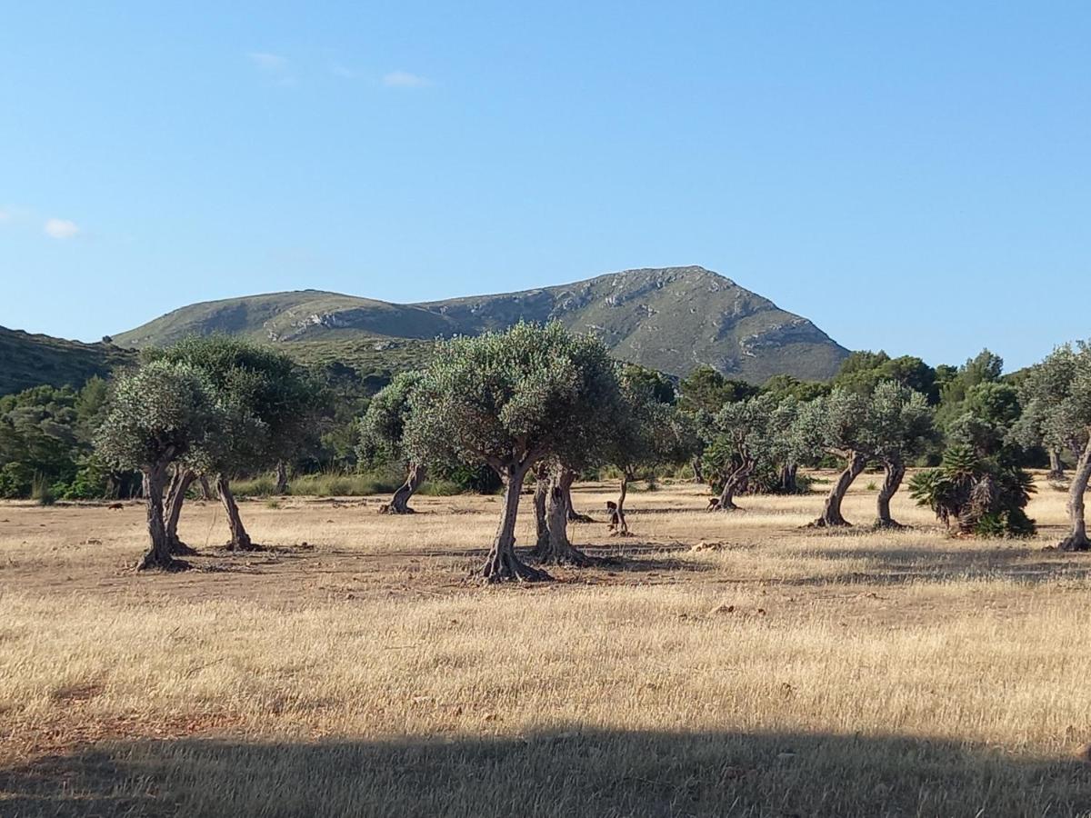 El Nido De Betlem Apartman Colonia de San Pedro Kültér fotó